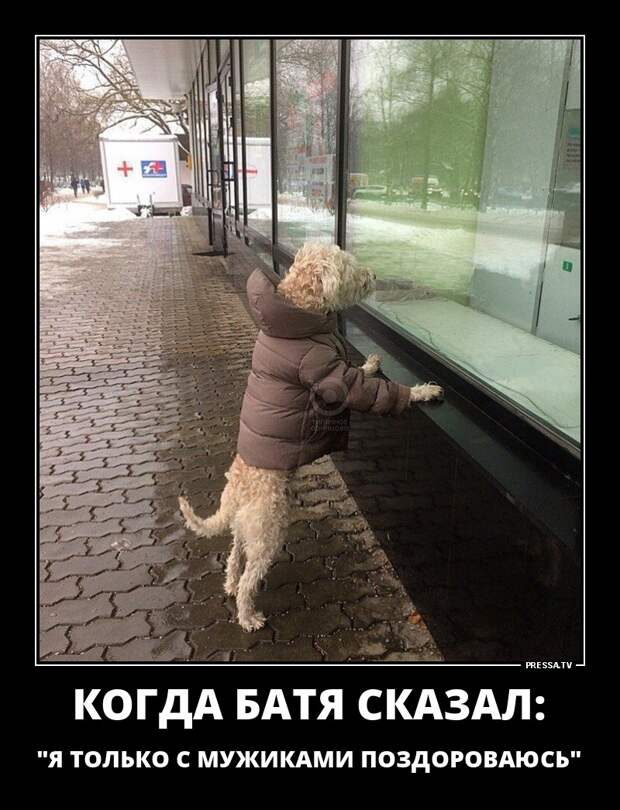 Новые смешные демотиваторы (46 фото)