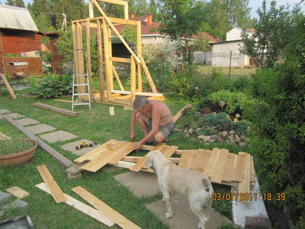 Муж строит рядом с ясеницем