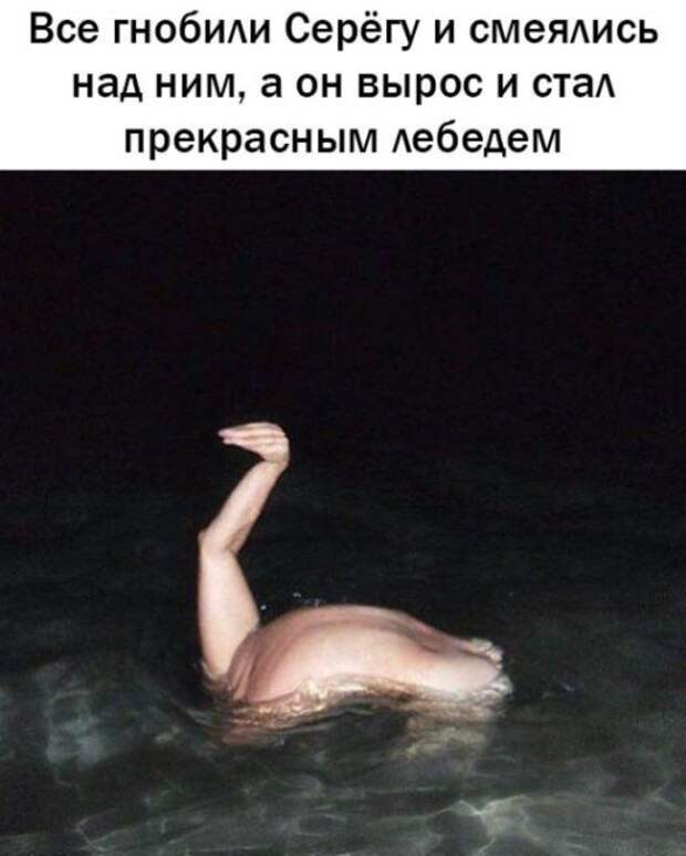 Подборка смешных и прикольных картинок с надписями (10 фото)