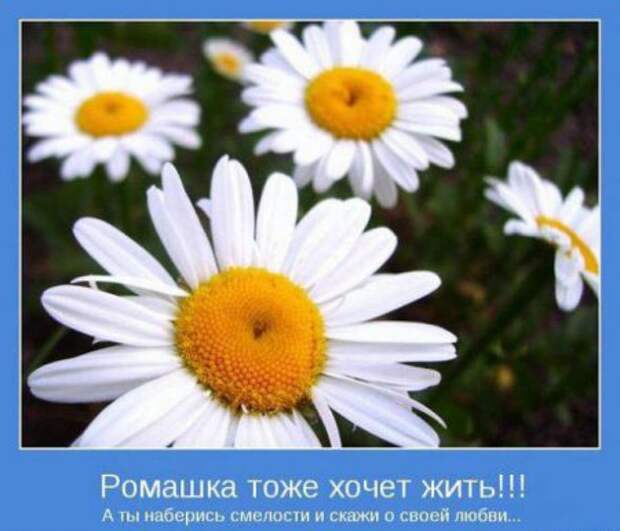Мотиваторы к пятнице.