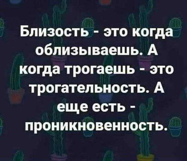 Боксер жалуется врачу: — Доктор, у меня бессонница...