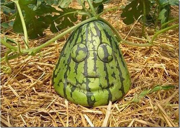 unusual-fruit-and-vegetables01