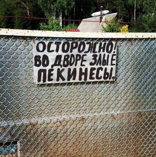 Предупреждающие таблички. Прикольные. Подборкаchert-poberi-tablichki-38430901072020-1 картинка chert-poberi-tablichki-38430901072020-1