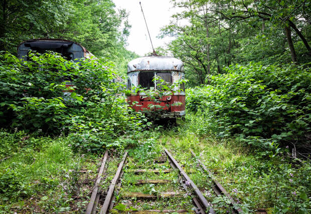 Abandoned Trolley Graveyard Abandoned Trolley Graveyard