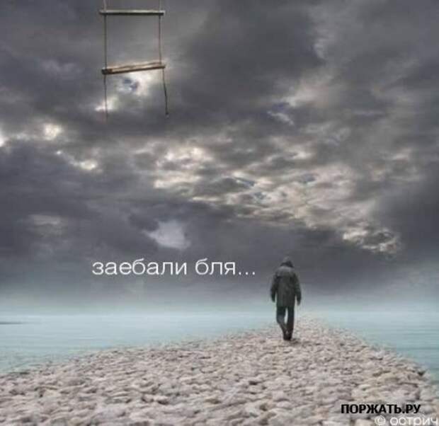 прикольная фотоподборка (28 фоток)