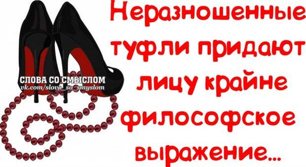 Прикольные фразочки в забавных картинках