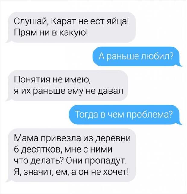 Девушка-ветеринар поделилась забавными переписками с ее клиентами