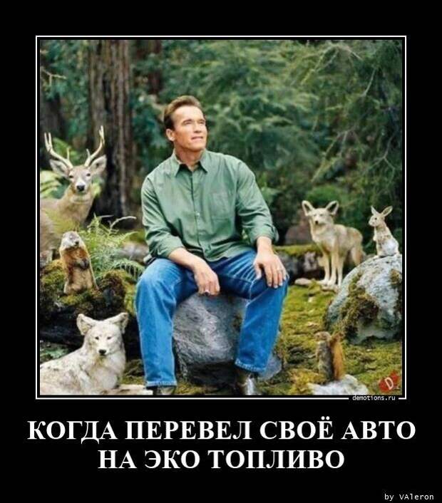 30 отменных демотиваторов на разные темы 30 отменных демотиваторов на разные темы