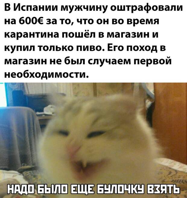 www.vsyako.net