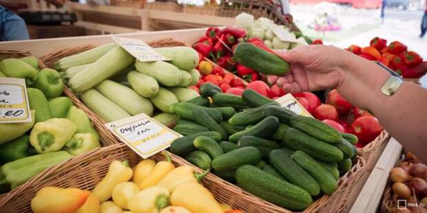 Столичные единоросы проверят качество продуктов в московских магазинах