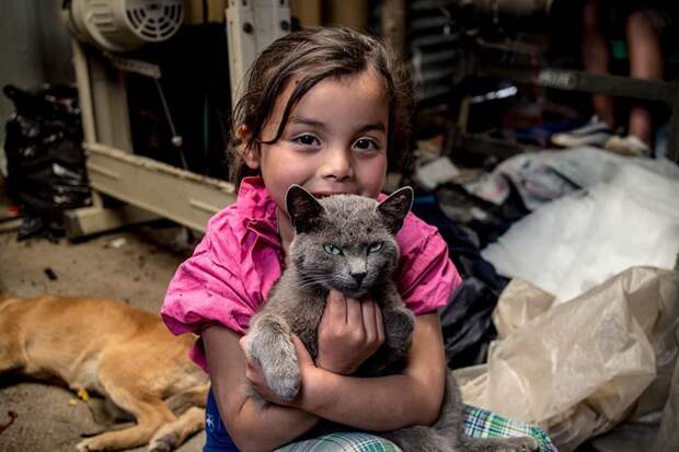 В колумбийском доме, где в месяц на семью тратят $163, любимая игрушка — кошка в мире, дети, игрушка, люди, страны
