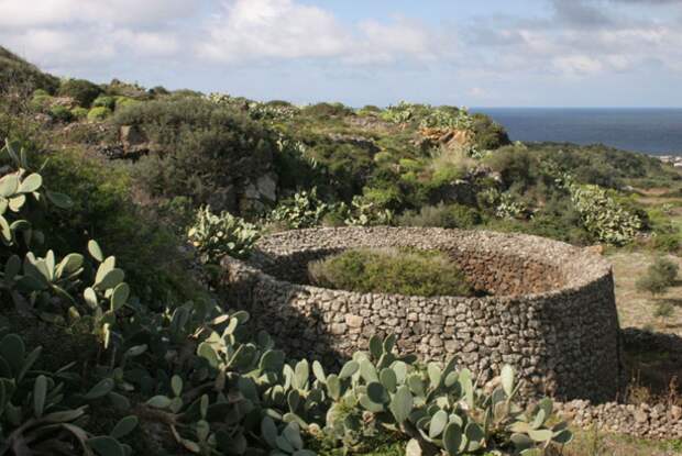 Фото взято с сайта: http://www.visitpantelleria.com/portfolio/giardino-pantesco/