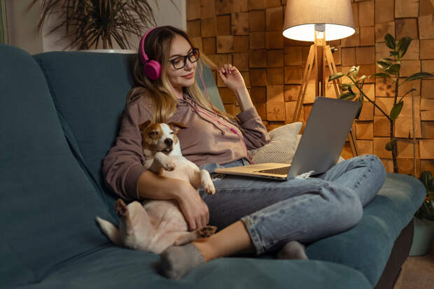 Кинолог Голубев: собака не помешает удаленной работе, если ее правильно занять