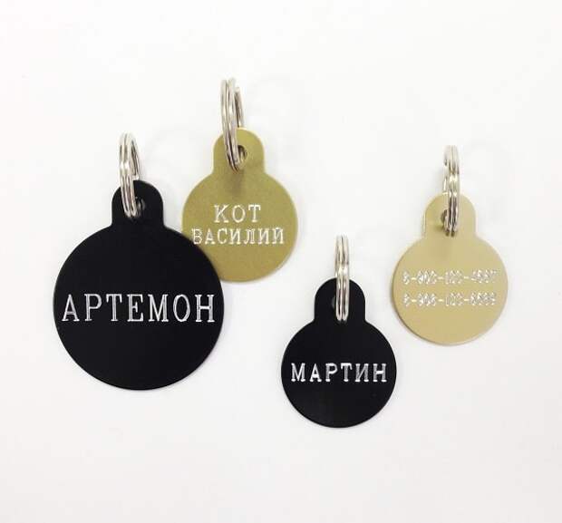Идентификация кошки: адресник или микрочип?