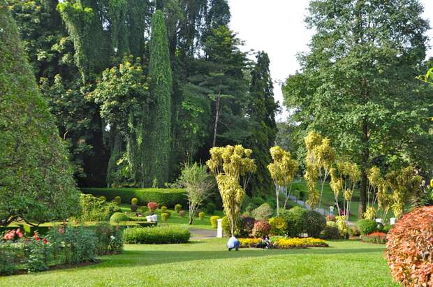 9 самых больших и красивых ботанических садов на планете
