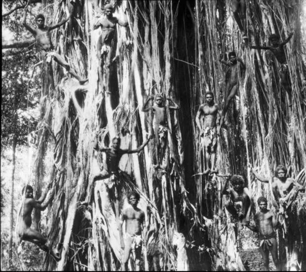 Аборигены, Австралия 1917 год история, ретро, фото