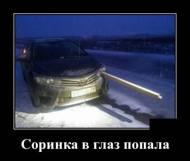Демотиваторы (30 фото)