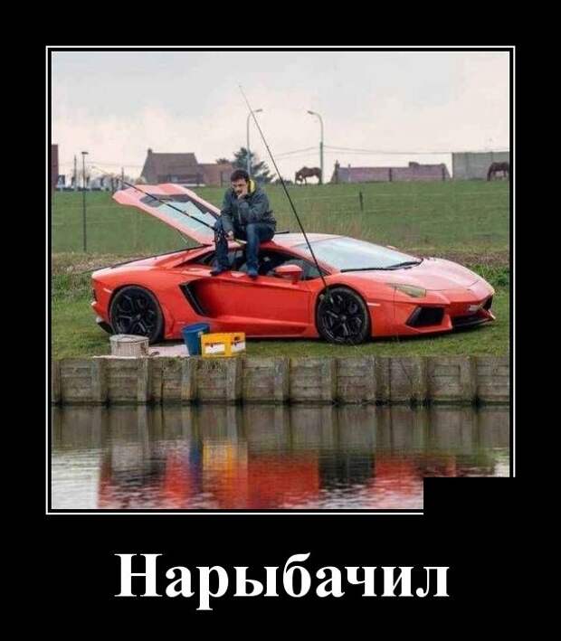 Демотиваторы Демотиваторы