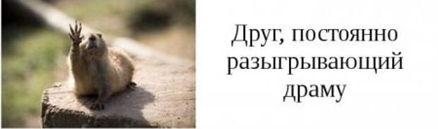 Такие друзья, есть у каждого из вас.