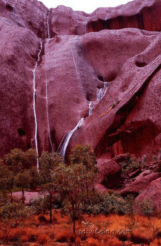 Скала Улуру (Айерс Рок),  Австралия. Фото /Uluru (Ayers Rock), Australia