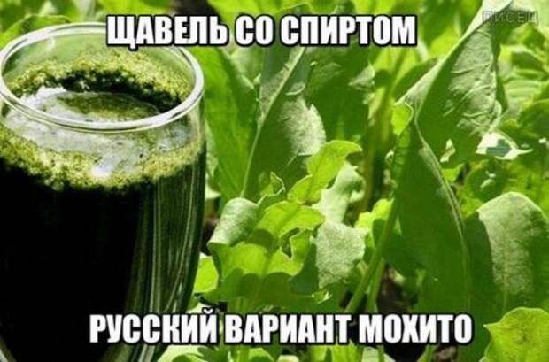 Убойные заряды юмора на все ближайшие дни. Смотрим! Убойные заряды юмора на все ближайшие дни. Смотрим!