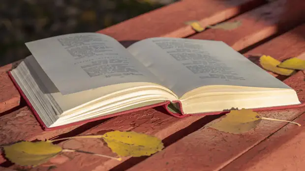 Девятнадцатый, двадцатый, двадцать первый: тест RT о веках русской поэзии