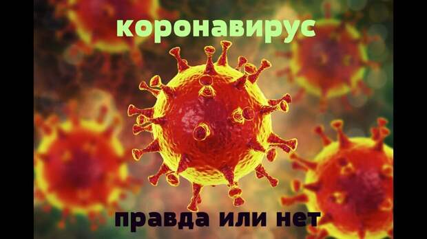 фито заимствовано: https://www.youtube.com/watch?v=H64cTD6kCS0