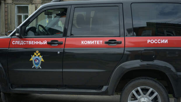 Следком возбудил дело из-за нападения бродячих собак на ребенка-инвалида в Бийске