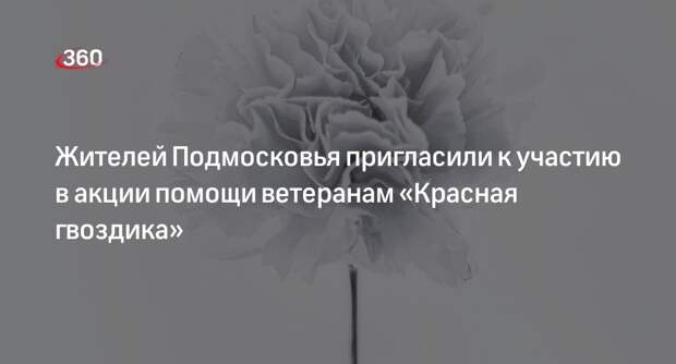 Жителей Подмосковья пригласили к участию в акции помощи ветеранам «Красная гвоздика»