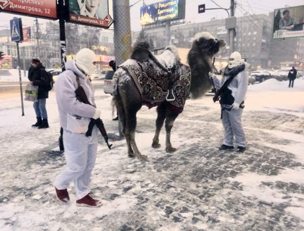 Фотоподборка