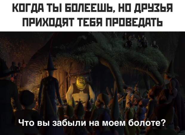 Смешные картинки 29 января 2021