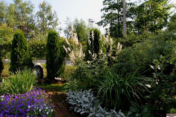 Красивый сад Ирины Пыжиковой