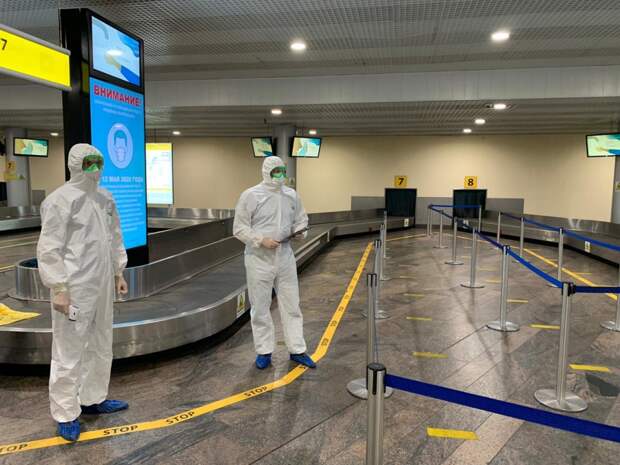 Спасатели Москвы в мае встретили более 8 тысяч прилетевших