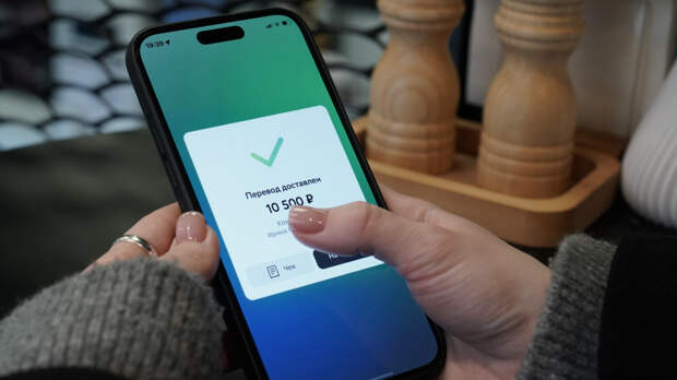 Налоговая назвала сумму переводов физлицу, которая станет причиной для контроля