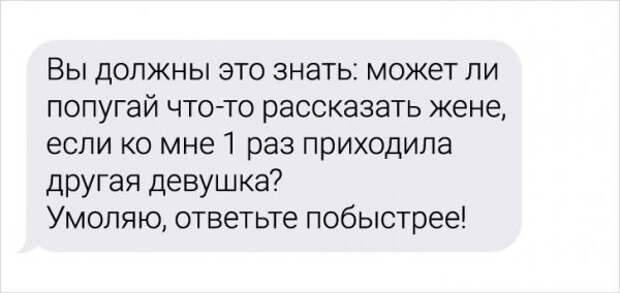 Девушка-ветеринар поделилась забавными переписками с ее клиентами