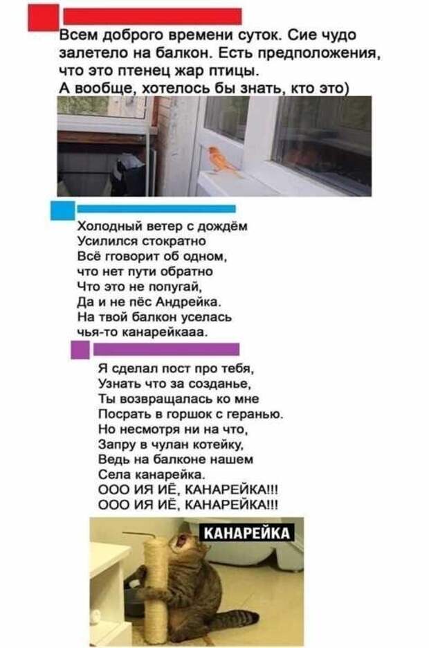 О фауне О фауне