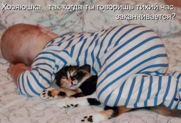 Лучшие котоматрицы за неделю
