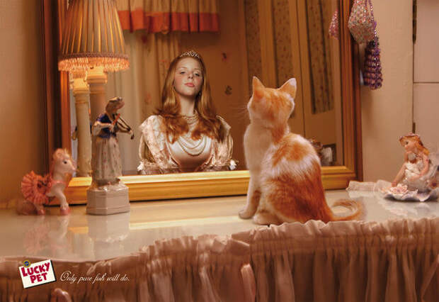 Мяу! 15 примеров забавной и милой кошачьей рекламы