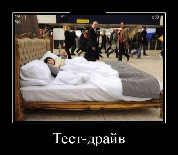 Демотиваторы (30 фото)