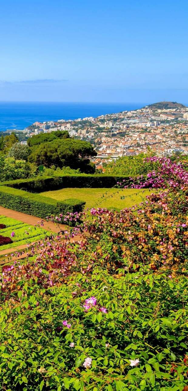 Famous Tropical Botanical Gardens in Funchal town, Madeira, Portugal | 32 Stupendous Places in Portugal every Travel Lover should Visit
