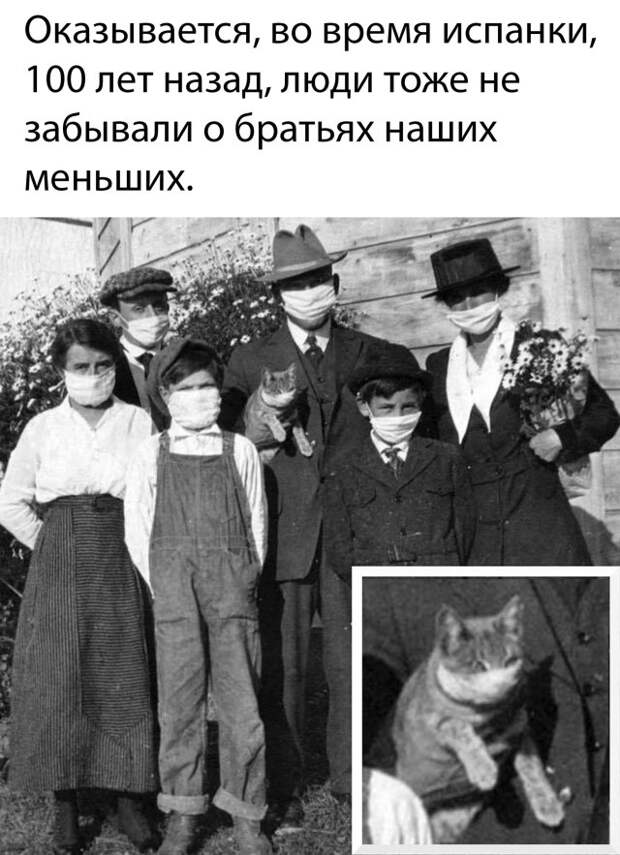 www.vsyako.net