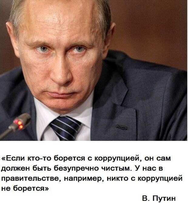 Прикольные картинки Прикольные картинки