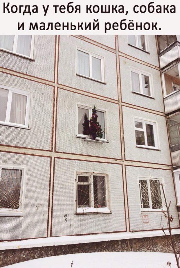 Прикольные и веселые картинки для улыбки (10 фото) Прикольные и веселые картинки для улыбки (10 фото)