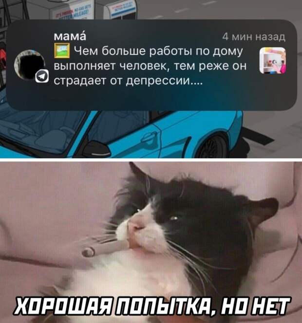 Смешные картинки 25 марта 2022 года