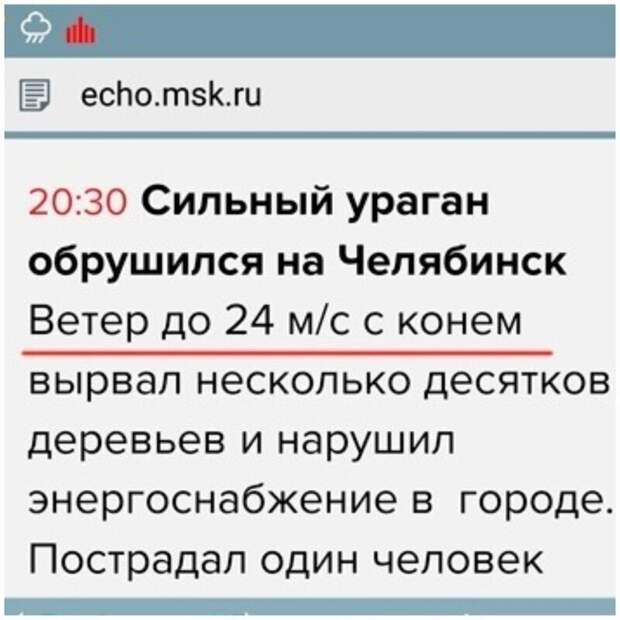 Коня жалко