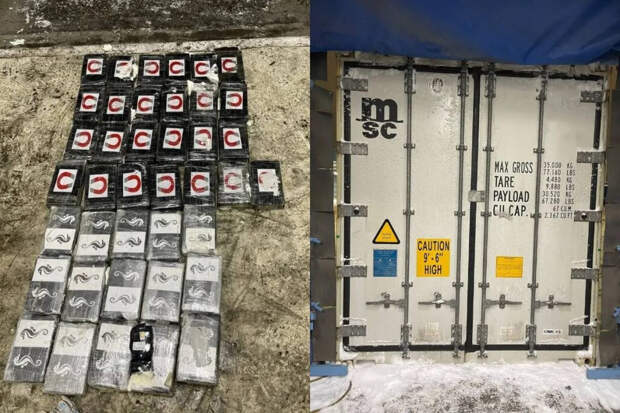 Таможенники в Петербурге задержали 40 кг кокаина из Латинской Америки