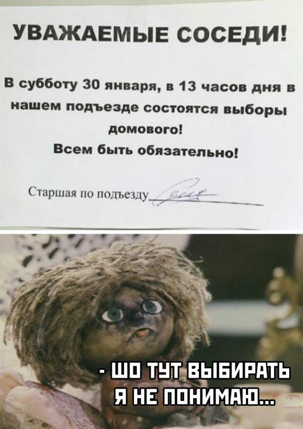 Смешные картинки 29 января 2021
