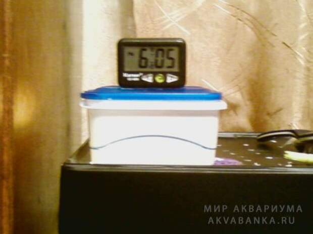 Автоматическая кормушка своми руками Автоматическая кормушка своми руками