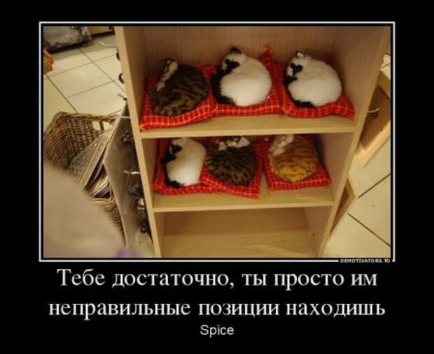 Демотиваторы они опять с нашими комментариями.