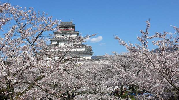 JPcastles12 Самые самые замки и храмы Японии